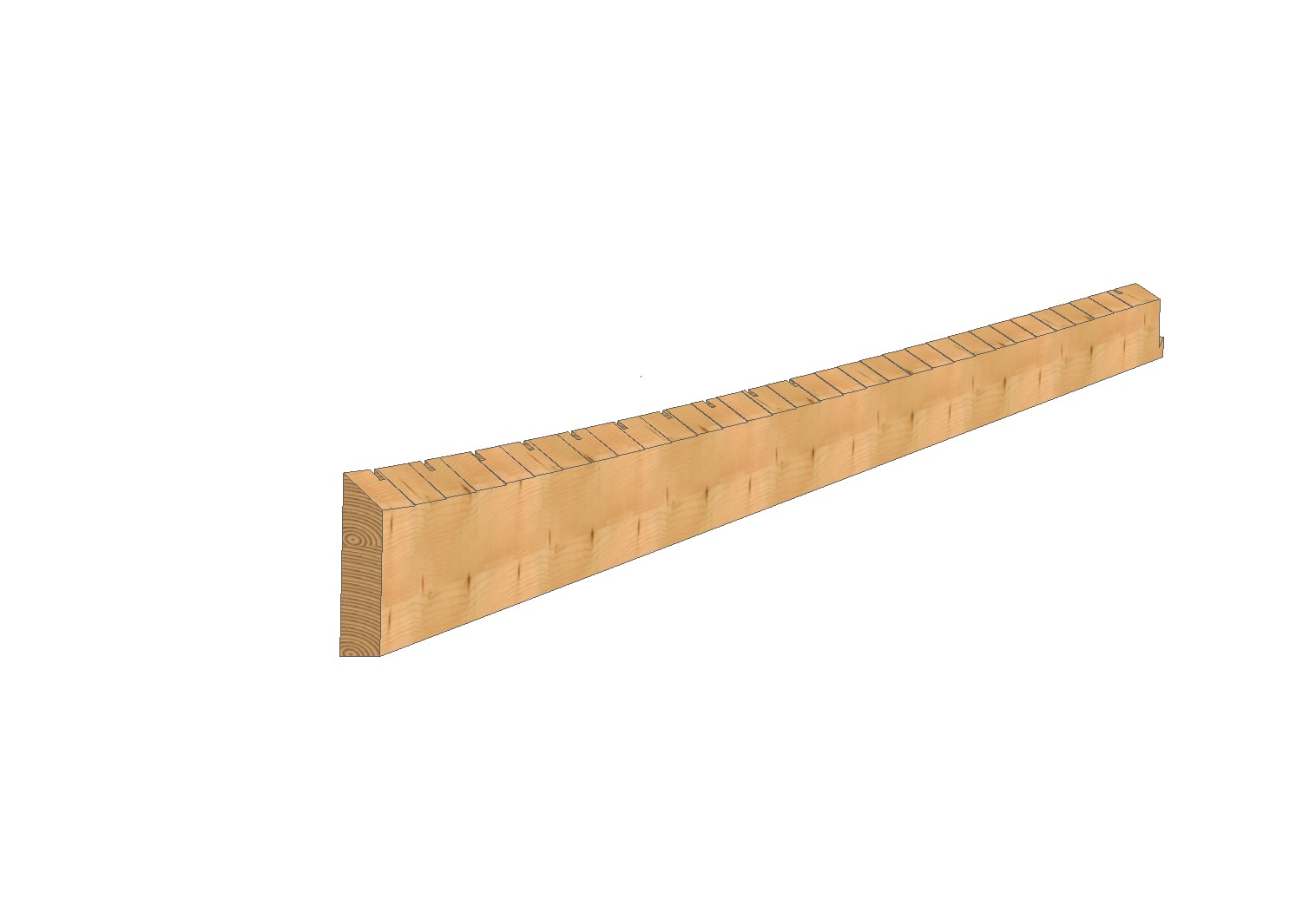 Dachstuhl-Neubau